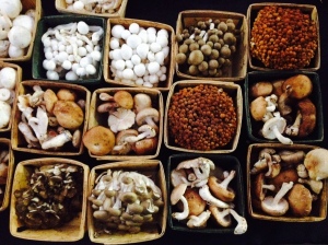 LA Funghi mushrooms, Culver City farmers market