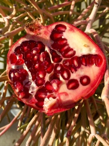 La Cienega farmers market. Pomegranate