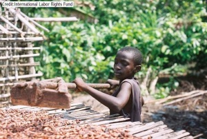 Child cocoa worker. Photo courtesy of Fair Trade Judaica